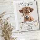 Search for moo cow birthday invitations Watercolor