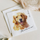 Search for golden retriever weddings Dog portrait