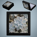 Search for succulent gift boxes Nature