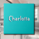 Search for turquoise tiles Elegant
