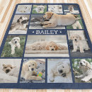 Search for dog blankets Create your own
