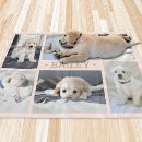 Search for photo blankets Unique
