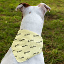 Search for dog clothes Puppy