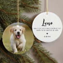 Search for dog pet memorial ornaments Cute