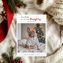 Search for naughty christmas cards Cute dog