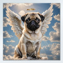 Search for pug in heaven Angel