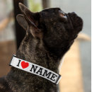 Search for pet collars For her