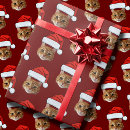 Search for cat in a hat wrapping paper For pets