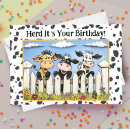 Search for cow puns cards Cows