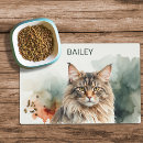 Search for norwegian forest cat Skogkatt