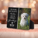 Search for favorite hello hardest goodbye In loving memory