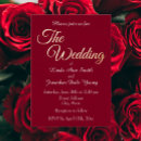 Search for cranberry wedding invitations Simple