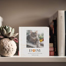 Search for memory box Pet