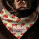 Search for watermelon gifts Pattern