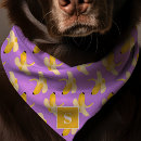 Search for dog clothes Colorful