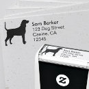 Search for bluetick coonhound Dog