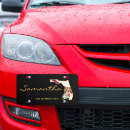 Search for florida license plates Usa