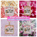 Search for photo collage necklaces Best mom ever
