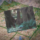 Search for tree postcards Rainforest