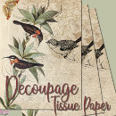 Search for decoupage butterfly tissue paper Nature