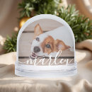 Search for snow globes Create your own