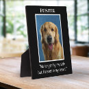 Search for photo pet memorials Black and white