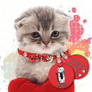 Search for cat tags Colorful
