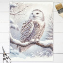Search for owl tissue paper Snowy
