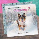 Search for australian shepherd christmas cards Animal