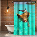 Search for swimming pig Bird