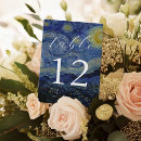 Search for van gogh Starry night