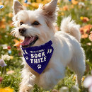 Search for funny dog collars Cute
