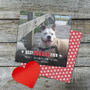 Search for dog valentines day cards Pet