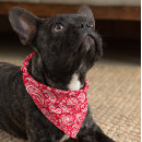 Search for red and white bandanas Paisley
