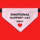 Search for cat collars Pink