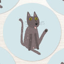 Search for cat stickers Funny
