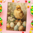 Search for easter baskets Chick