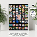 Search for pet supplies Photo collage template