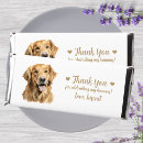 Search for golden retriever favors Pet