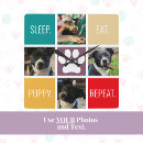 Search for dog lover gifts Modern