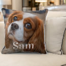 Search for pet loss pillows Keepsake
