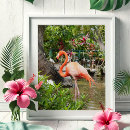Search for travel posters Florida