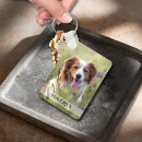 Search for memorial keychains Rainbow bridge