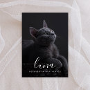 Search for cat sympathy cards Loss