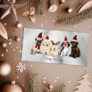 Search for dog puns holiday cards Pug