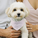 Search for dog collars harnesses Elegant