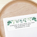 Search for sage green color palette Botanical