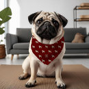 Search for cute dog collars Puppy