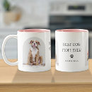 Search for funny cat quote mugs Kitten