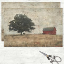 Search for barn tissue paper Rustic